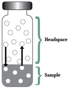 headspace vial illustration