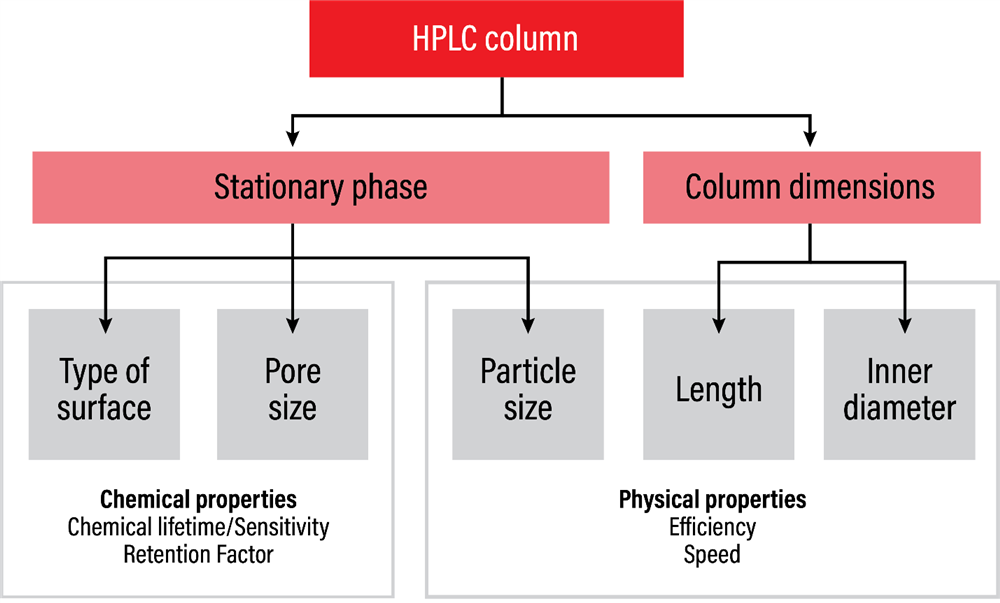 HPLC column